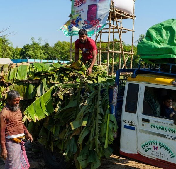 business growth performance indicators