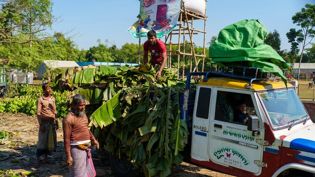 business growth performance indicators