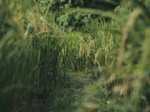 global growth sector forecasts