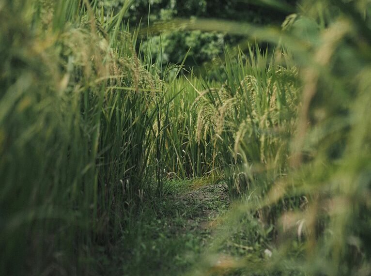 Global Growth Signals and Sector Forecasts: 647975777, 2034332988, 120907888, 8339881887, 634160868, 8442975509