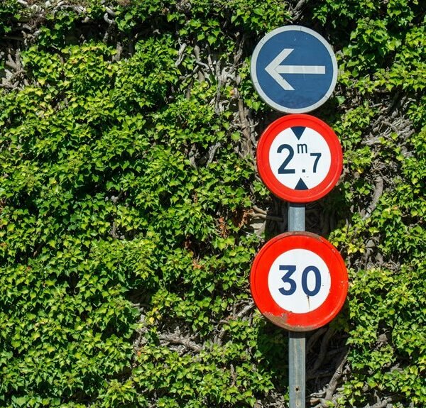 Global Growth Metrics and Industry Signals: 211164733, 982094756, 657122185, 931776419, 629982770, 2089226130