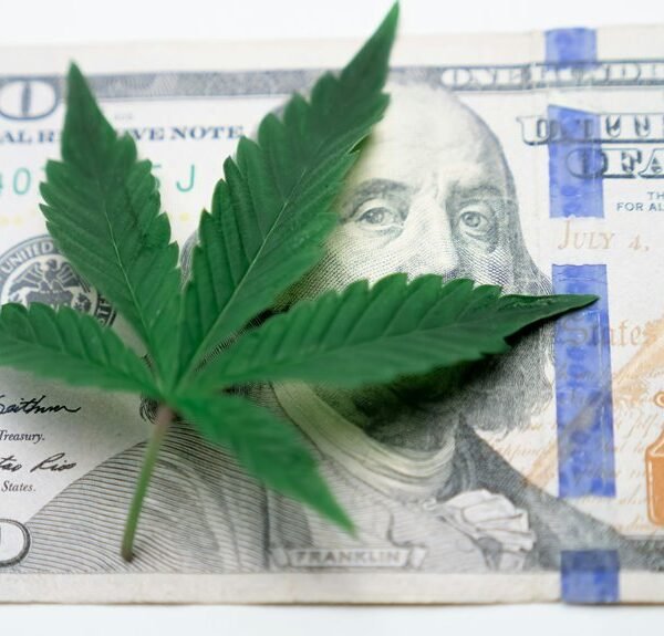 Strategic Investment Patterns and Industry Signals: 931758438, 4083852669, 218506385, 31595940, 8338512312, 912707204