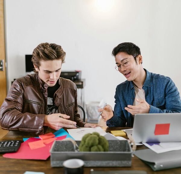 investor insights brief overview