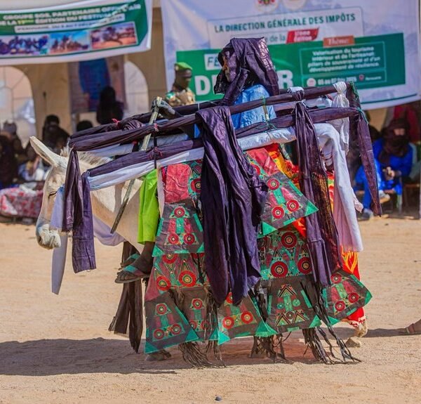 market trends and performances