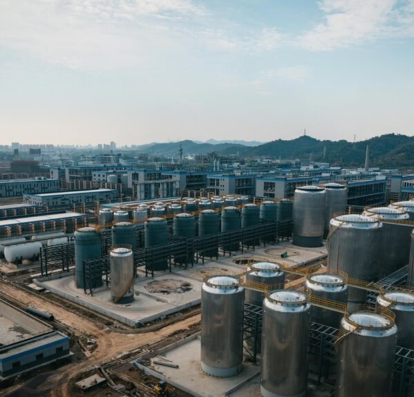 Sector Expansion Metrics 605229160, 8241812212, 631875924, 923291726, 602439071, 1416461800