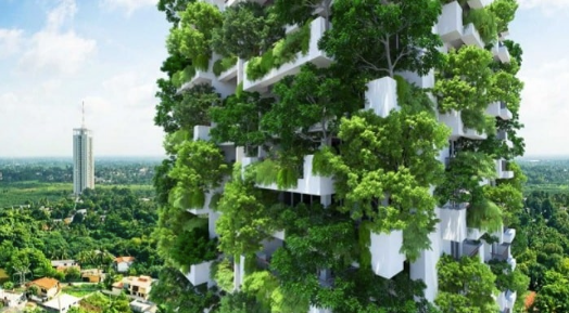 Sustainability Building: Creating Environmentally Responsible Structures