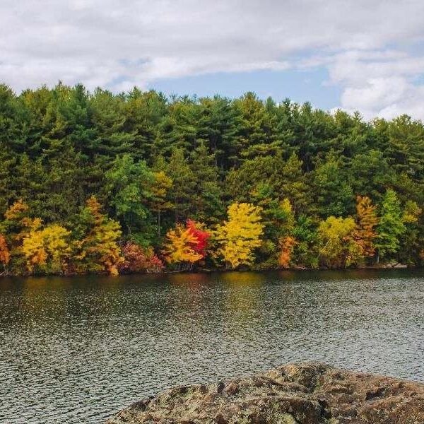 How NAEGELI Deposition & Trial is Strengthening Litigation Resources in Medford, Oregon